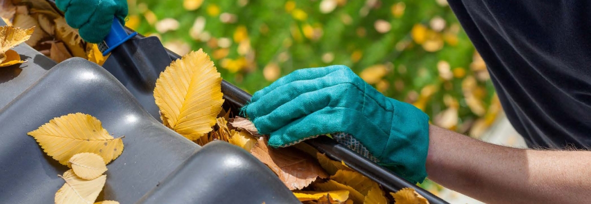 Person with gloves cleaning leaves out of gutters.