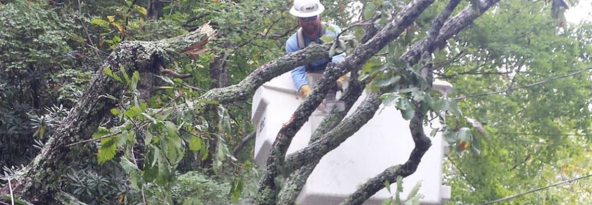 Lineworker cutting away fallen trees