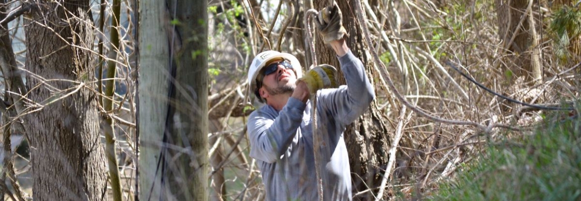Lineworker trimming branches around power lines