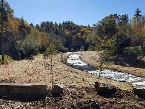 How New River Got Its Flow Back