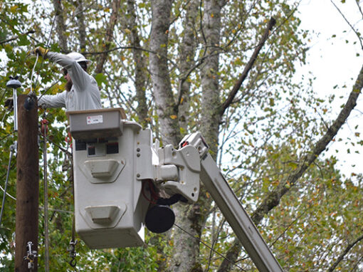 NRLP Lineworker Scholarship supports aspiring lineworkers in Watauga County