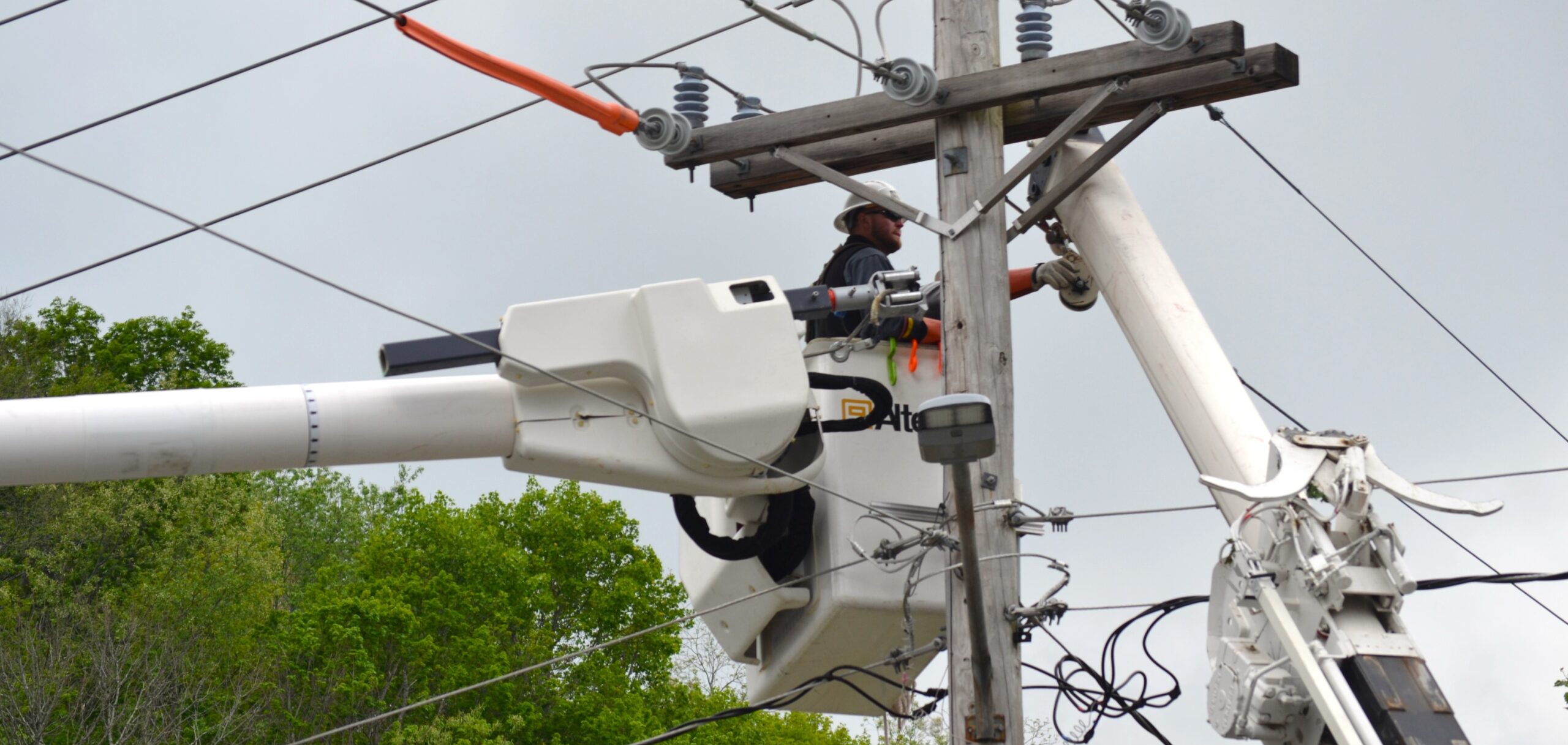 A lineworker works on a transformer on a utility pole in a bucket, a large green tree in the background